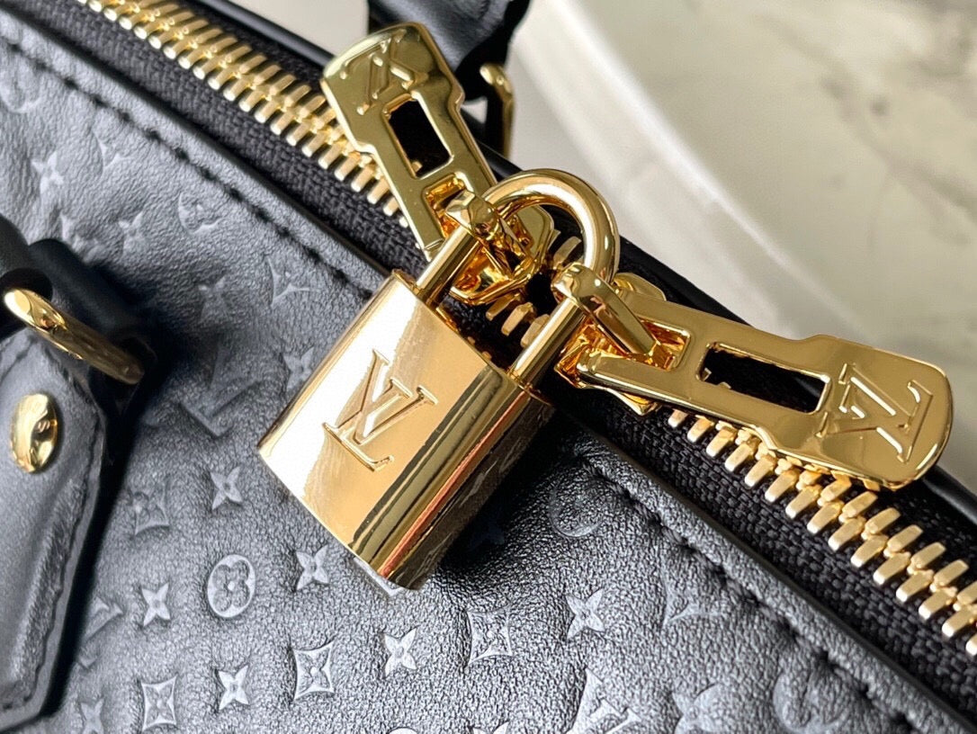 Bauletto vuitton 20