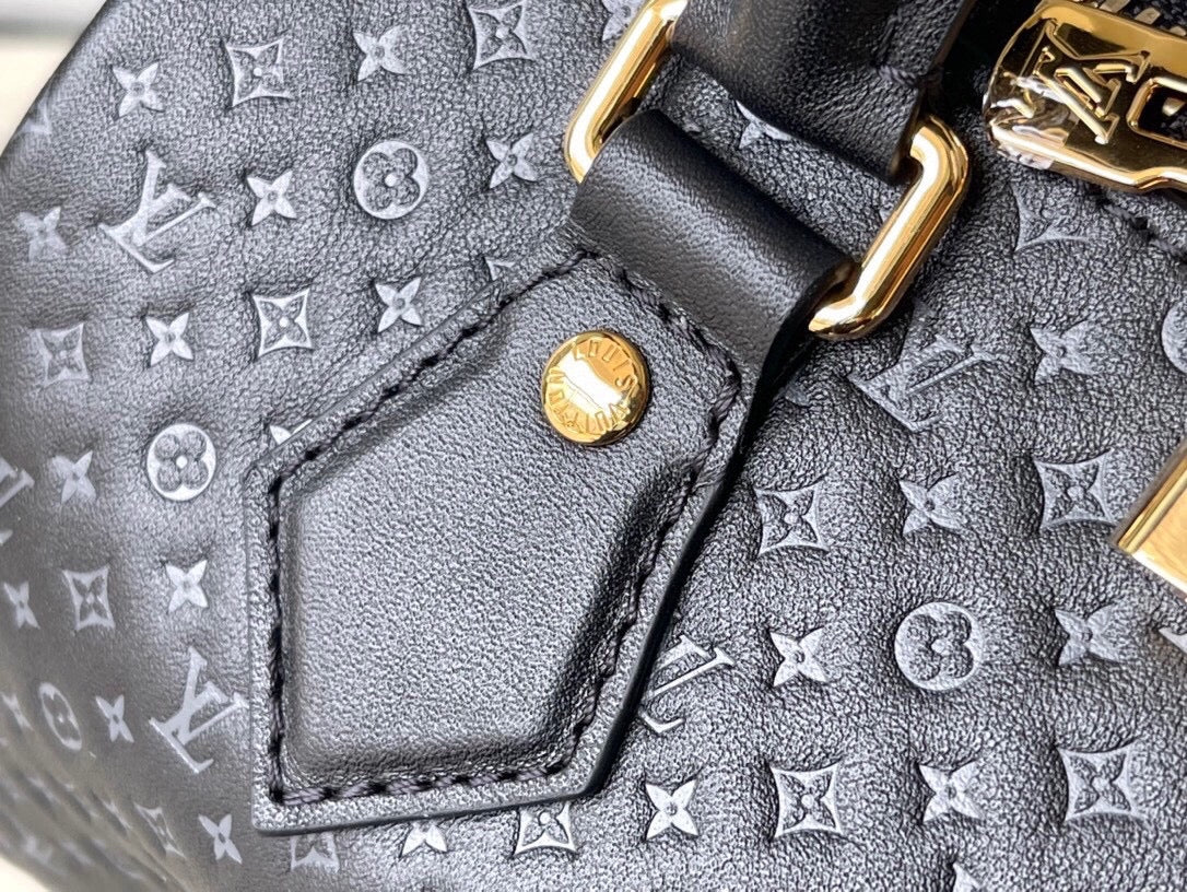 Bauletto vuitton 20