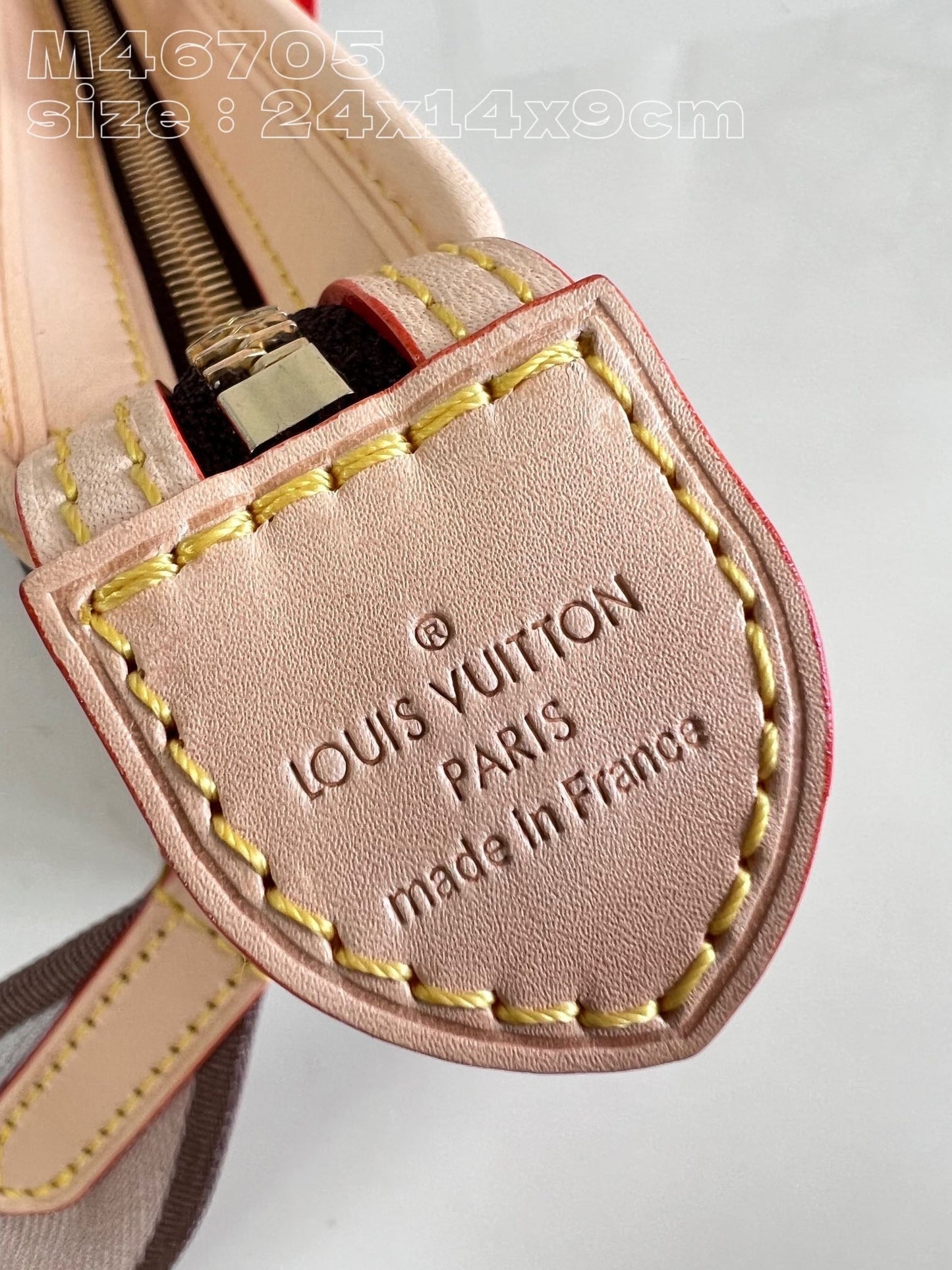 Vuitton Bag